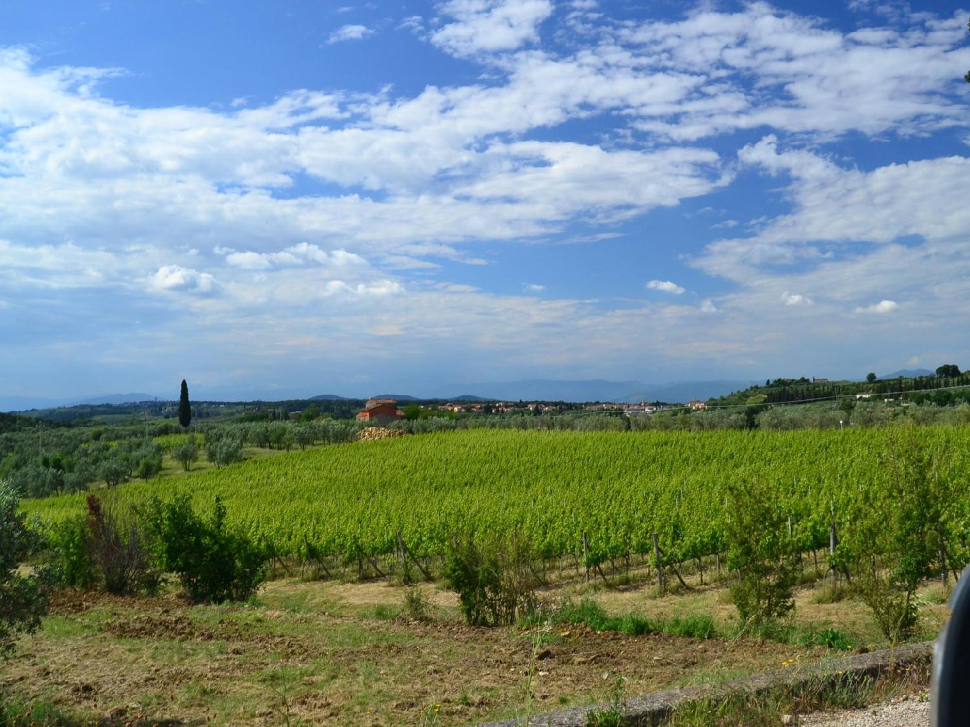 Lovely Holiday Home In Montefiridolfi With Hill View Exterior photo