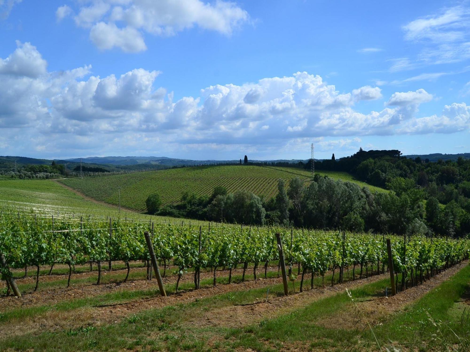 Lovely Holiday Home In Montefiridolfi With Hill View Exterior photo